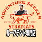 Specializing in roof tents【STRAYCATS】