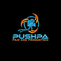 Pushpa Film Production