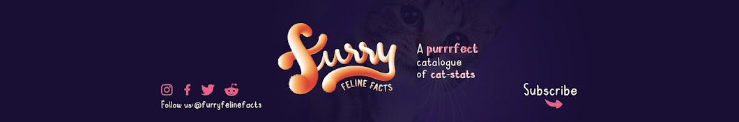 Furry Feline Facts