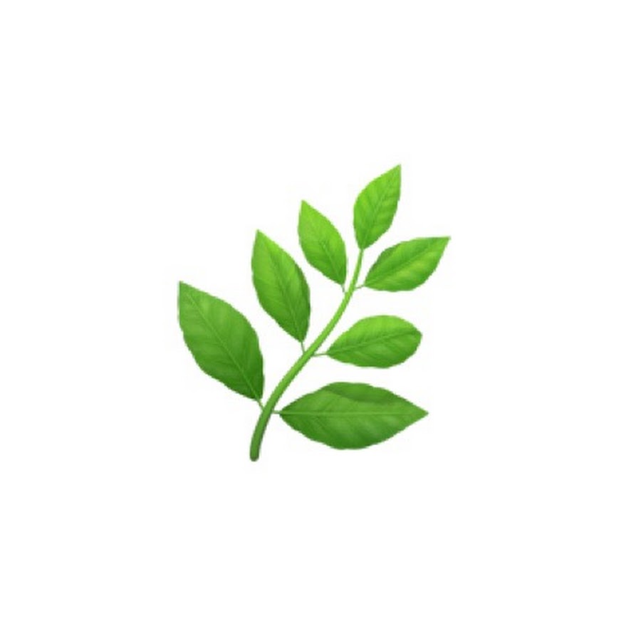 organicorean 유기농한국인 - YouTube organicorean 유기농한국인