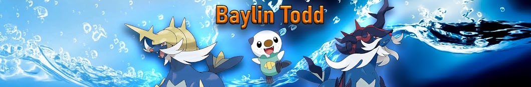 Baylin Todd Banner