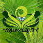 MicroLifeTV