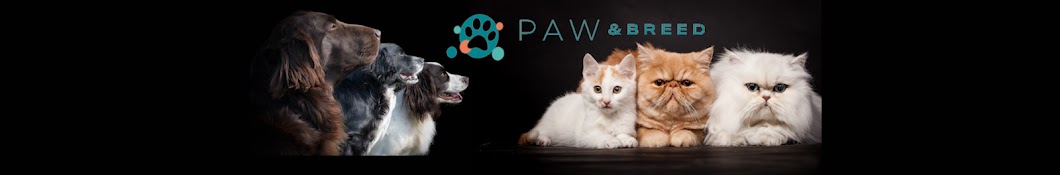 Paw&Breed