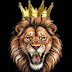 logo ADM RECORDS