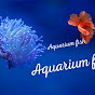 Aquarium fish 