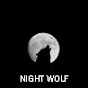 The night wolf