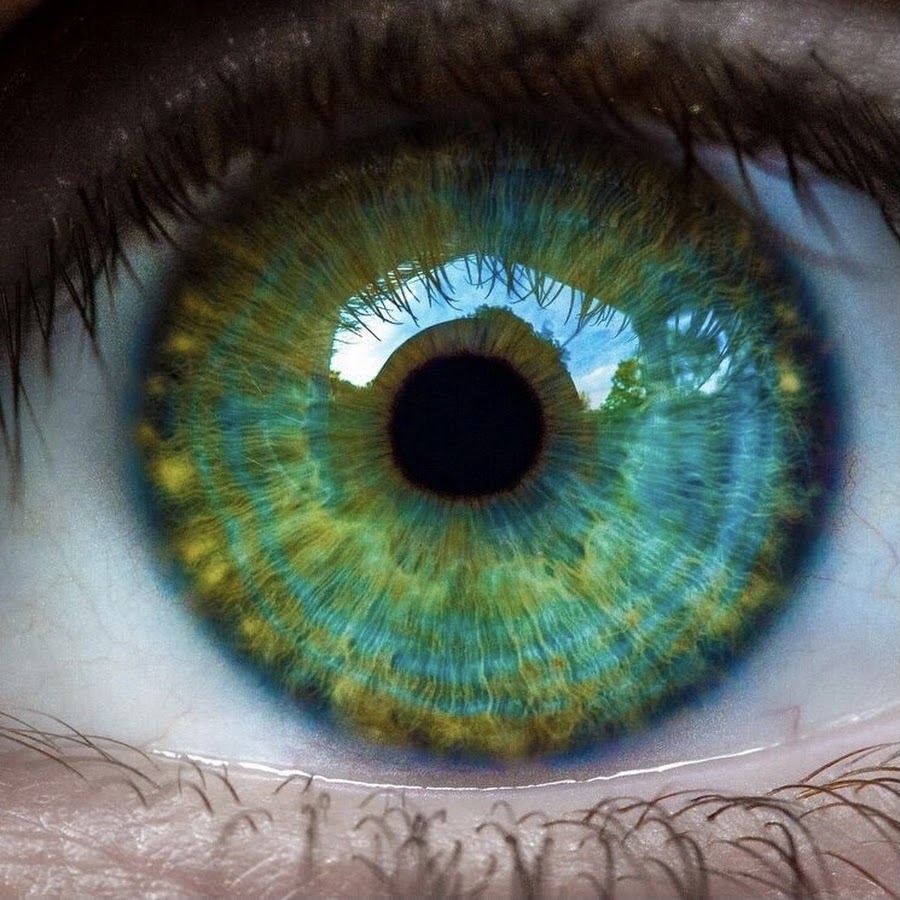 Зеленые глаза на свету. Голубо-зеленый цвет глаз. Болотный цвет глаз. Зеленая радужка глаз. Голубо зелено желтые глаза.