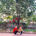 DƯƠNG PHƯƠNG PHONG NHẬT FAMILY