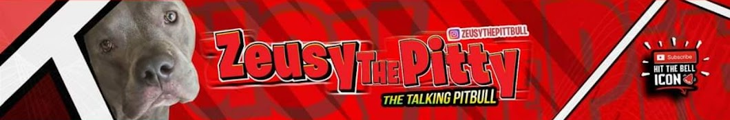Zeusy The Talking Pitty Banner
