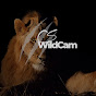 CS-WildCAM