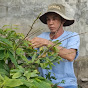 Bonsai Tú Anh