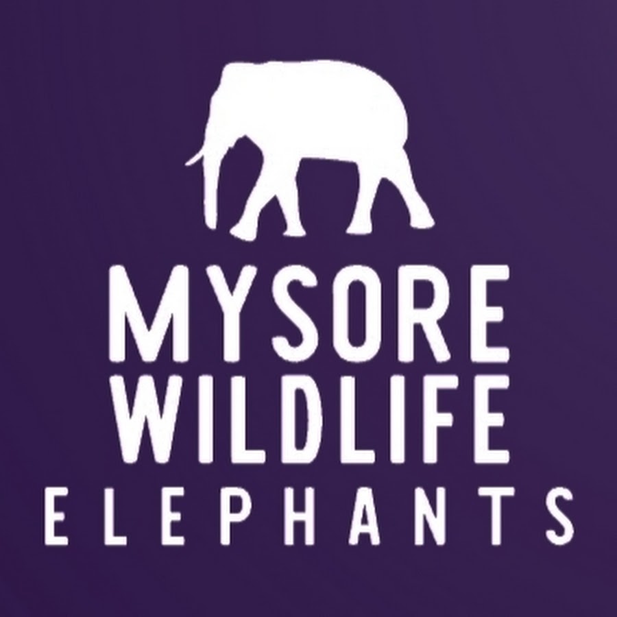 Mysore wildlife - YouTube Mysore wildlife 