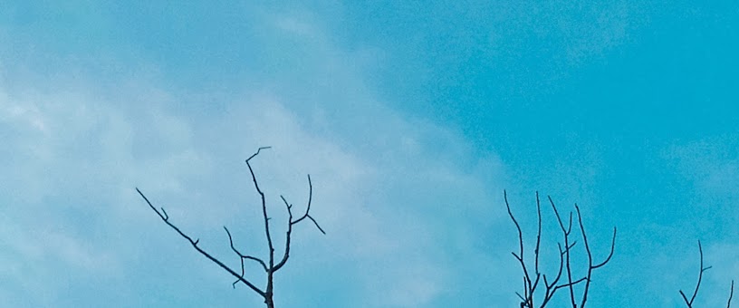 Artist Thumbnail