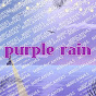 퍼플레인 purple rain