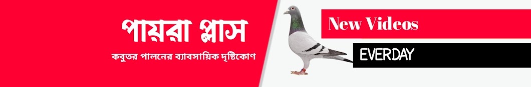 পায়রা প্লাস  