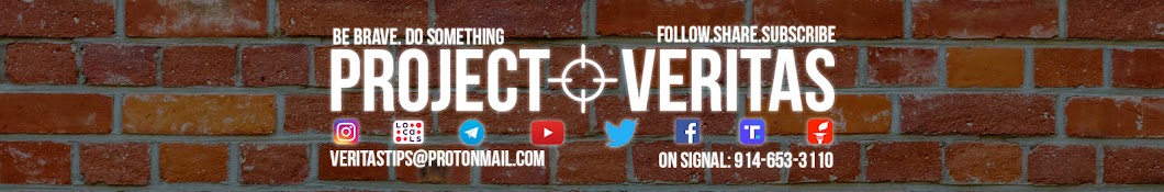 Project Veritas's Banner