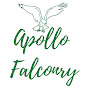 Apollo Falconry