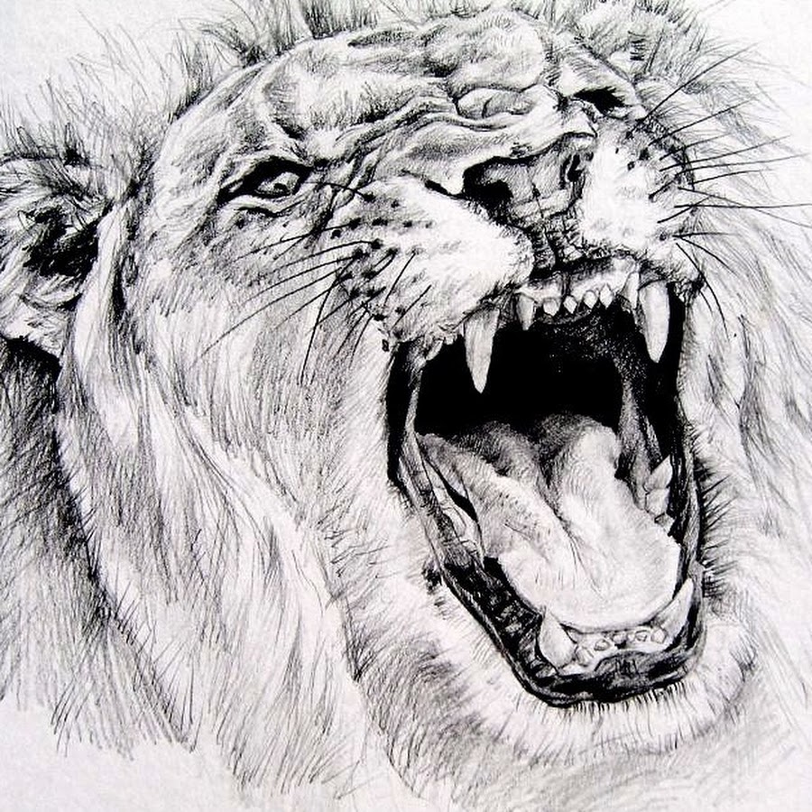 Голова Льва с открытой пастью рисунок