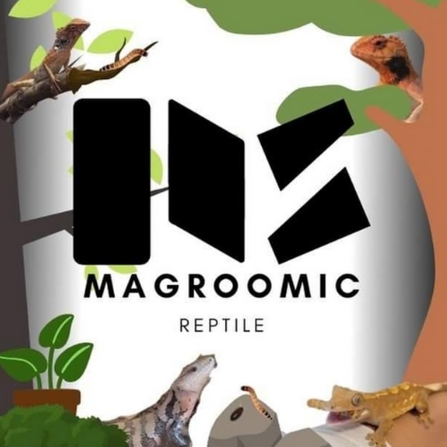 Ready go to ... https://www.youtube.com/channel/UCAjrFOZszDBf39d4qoInHNw [ Magroomic Reptiles]