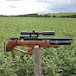 Tiago Cunha Airguns