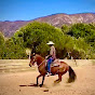 Bruce Sandifer's California Bridle Horses 