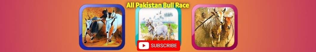 All Pakistan Bull Race