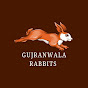 Gujranwala Rabbits Official