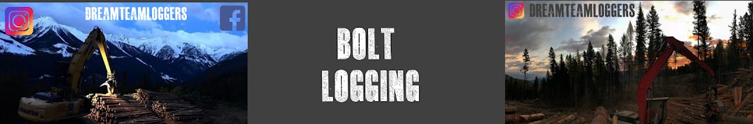 Bolt Logging