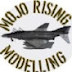 Mojo Rising Modelling