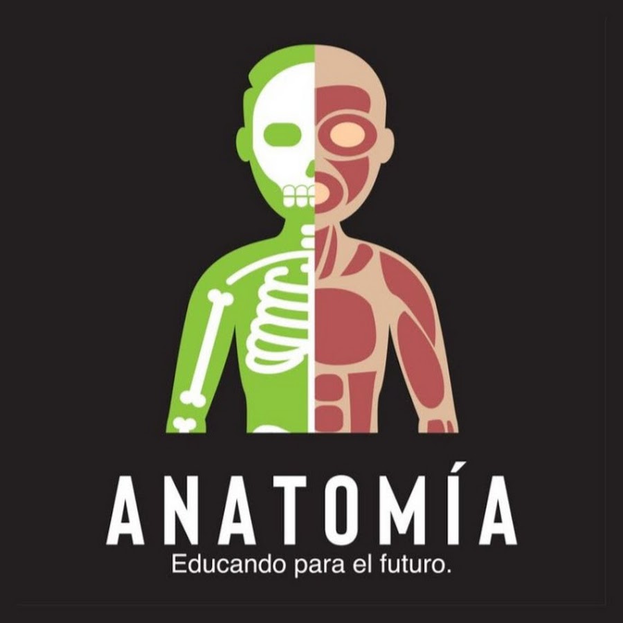 Anatomía Educando Para el Futuro.