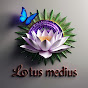 Lotus Medius