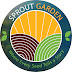 Sprout Garden