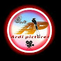 Ardi Pictures