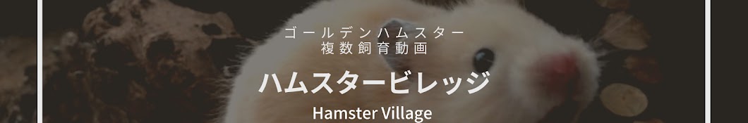 Hamster  Village