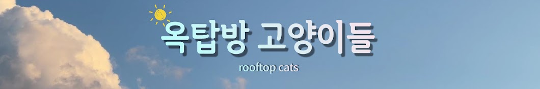 옥탑방 고양이들 -rooftop cats