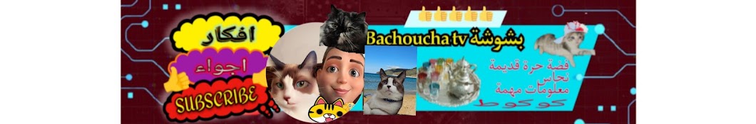 بشوشة Bachoucha tv