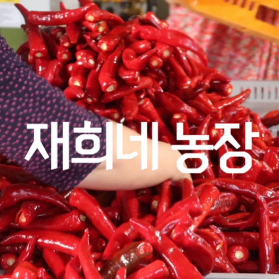 재희네 농장 - YouTube 재희네 농장