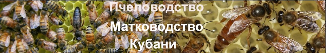 Пчеловодство матководство Кубани