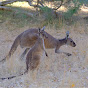 Western Australia Walkabout With Jekaroo!