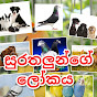 Pet World සුරතලුන්ගේ ලෝකය