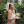 katkamalani avatar