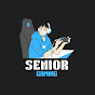 SENIOR GAMING