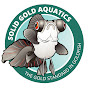 Solid Gold Aquatics