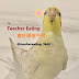 teacher eating_易庭老師教會計