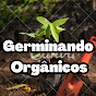 Germinando Orgânicos