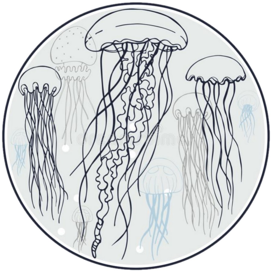 Композиция с медузой в круге