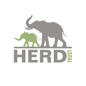 «HERD Elephant Orphanage South Africa»