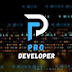 Pro Developer