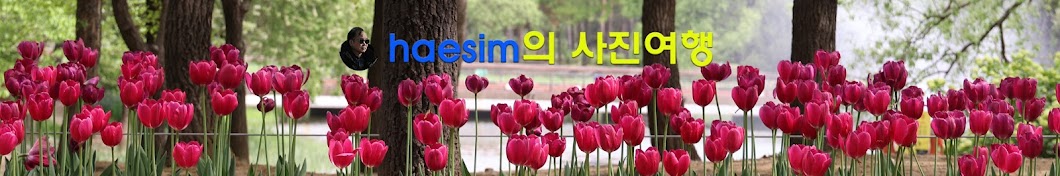 haesim전영문