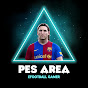 PES AREA